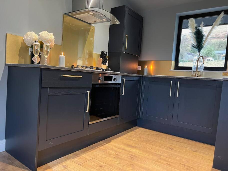 Luxury Lodge In The Treetops Llanbrynmair Extérieur photo